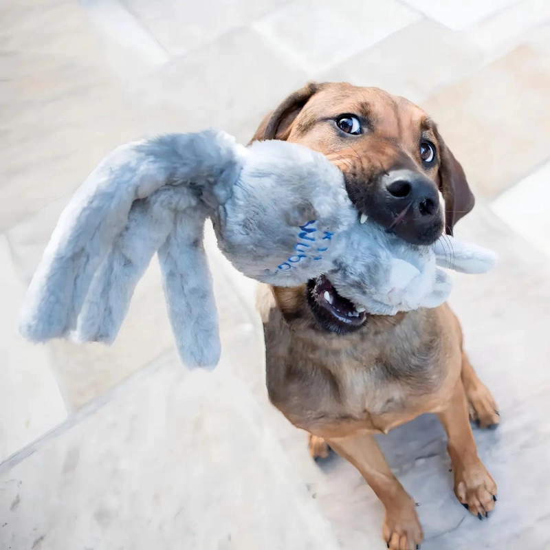 JUGUETE PARA PERRO CON FORMA DE CONEJO GRIS DE FELPA SUAVE Y SONIDO - 2