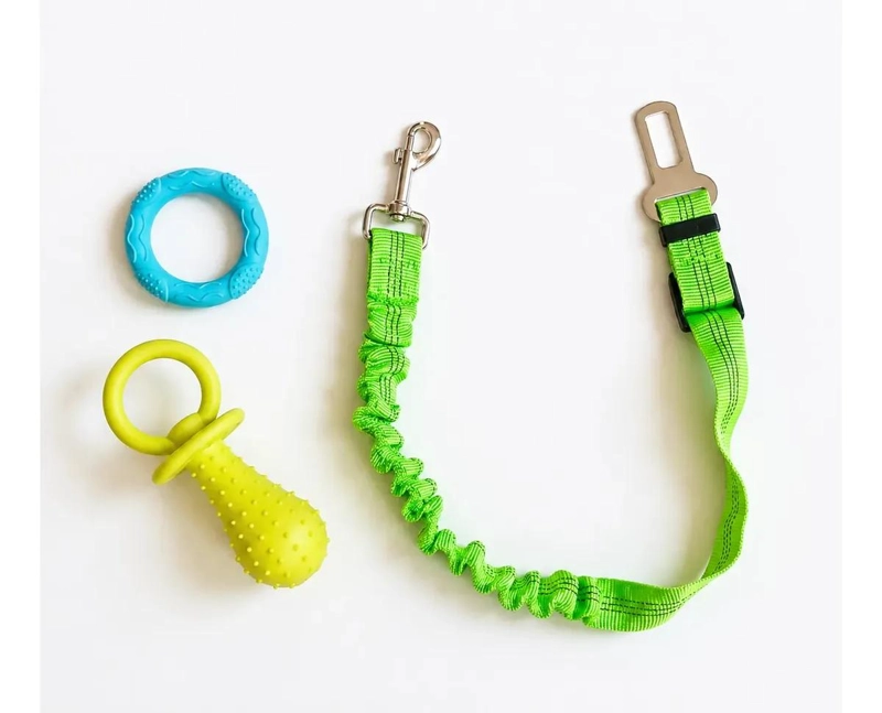 PACK DE 10 JUGUETES VARIADOS PARA PERROS Y MASCOTAS - 3