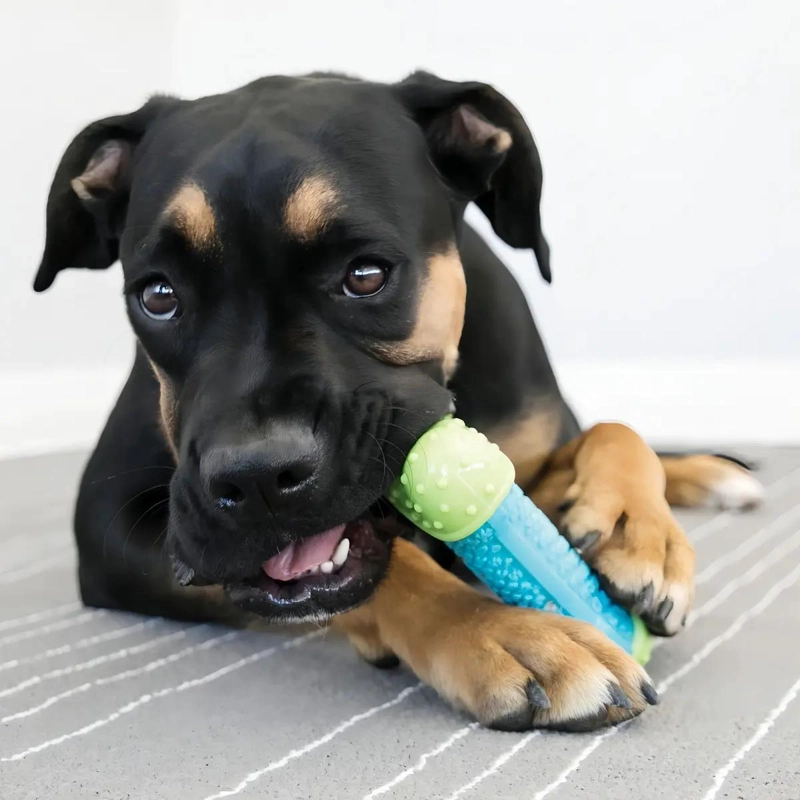 HUESO RESISTENTE PARA PERROS TALLA L EN COLORES AZUL Y VERDE - 3