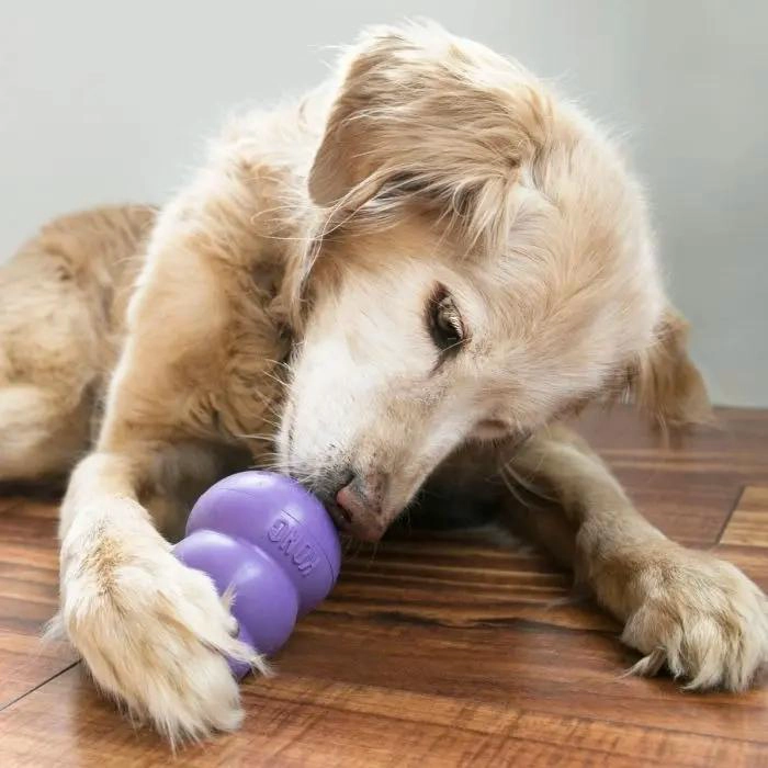 JUGUETE INTERACTIVO PARA PERROS MAYORES TAMAÑO PEQUEÑO - 2