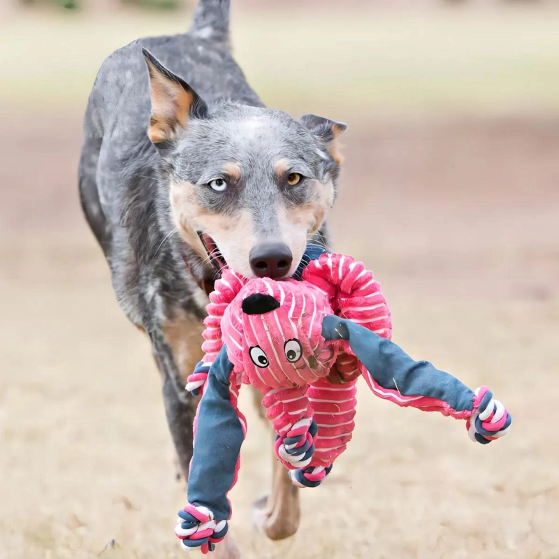 PELUCHE PARA PERRO GRANDE CON CUERDA RESISTENTE Y DISEÑO DE CONEJO - 3