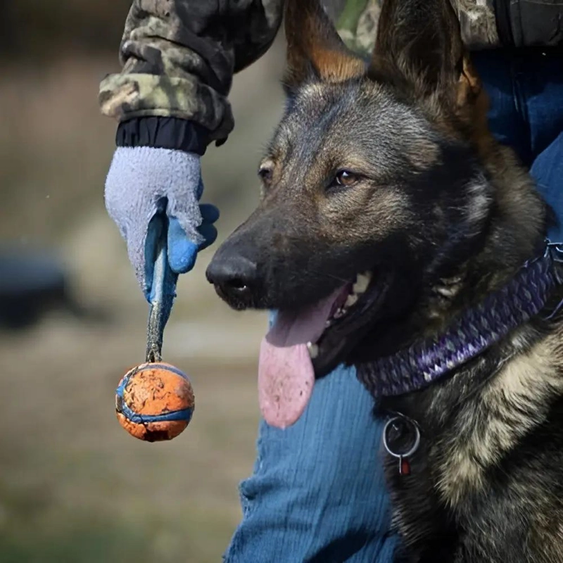 PELOTA DE GOMA PARA PERRO CON AGARRE ULTRA RESISTENTE COLOR NARANJA 7.5 CM - 3