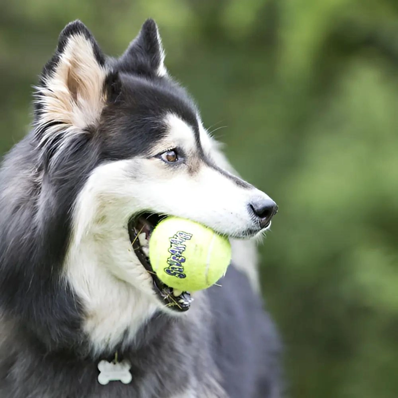 PELOTA PARA PERRO TAMAÑO GRANDE CON SONIDO Y AIRE COMPRIMIDO - 2