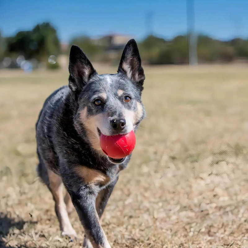 PELOTA RESISTENTE PARA PERRO TAMAÑO PEQUEÑO 5 CM COLOR ROJO - 2