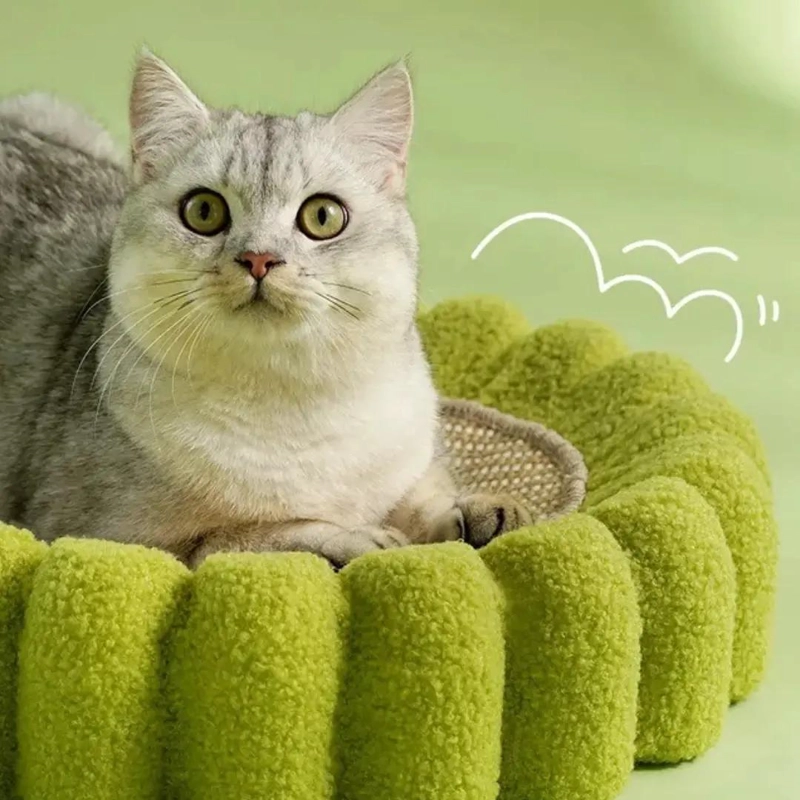 RASCADOR GRANDE PARA GATO TIPO CACTUS CON SISAL ANTIESTRE S - 4