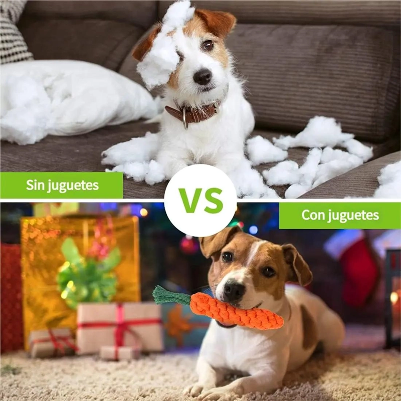 SET DE 10 JUGUETES VARIADOS PARA MASCOTAS CON PELOTA DE CUERDA Y DISCO - 3