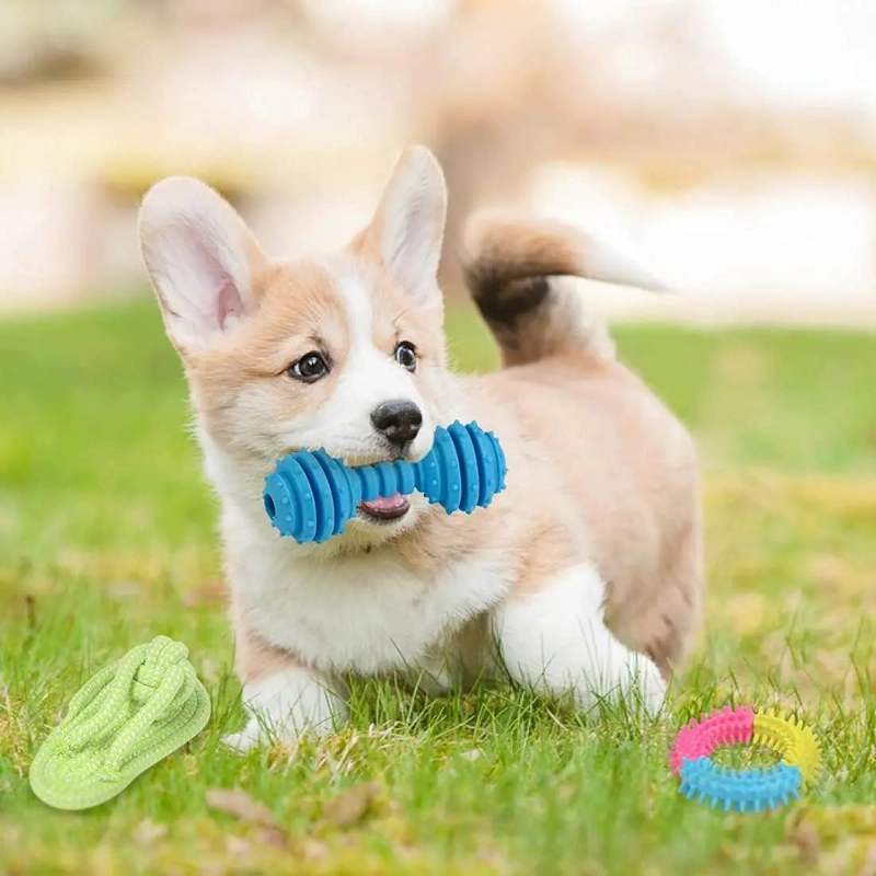 SET DE 10 JUGUETES VARIADOS PARA MASCOTAS CON PELOTA DE CUERDA Y DISCO - 5