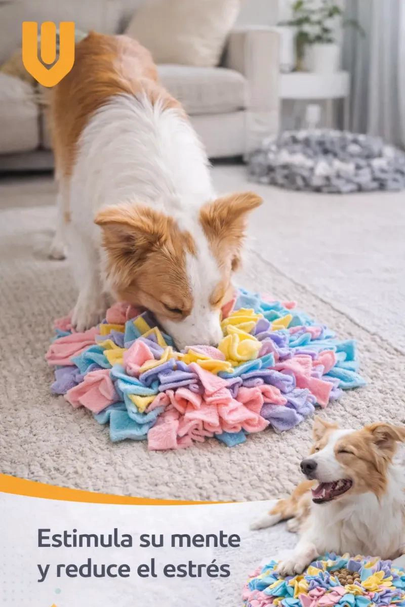 ALFOMBRA OLFATIVA PARA PERRO JUGUETE INTERACTIVO ESTIMULADOR MENTAL - 3