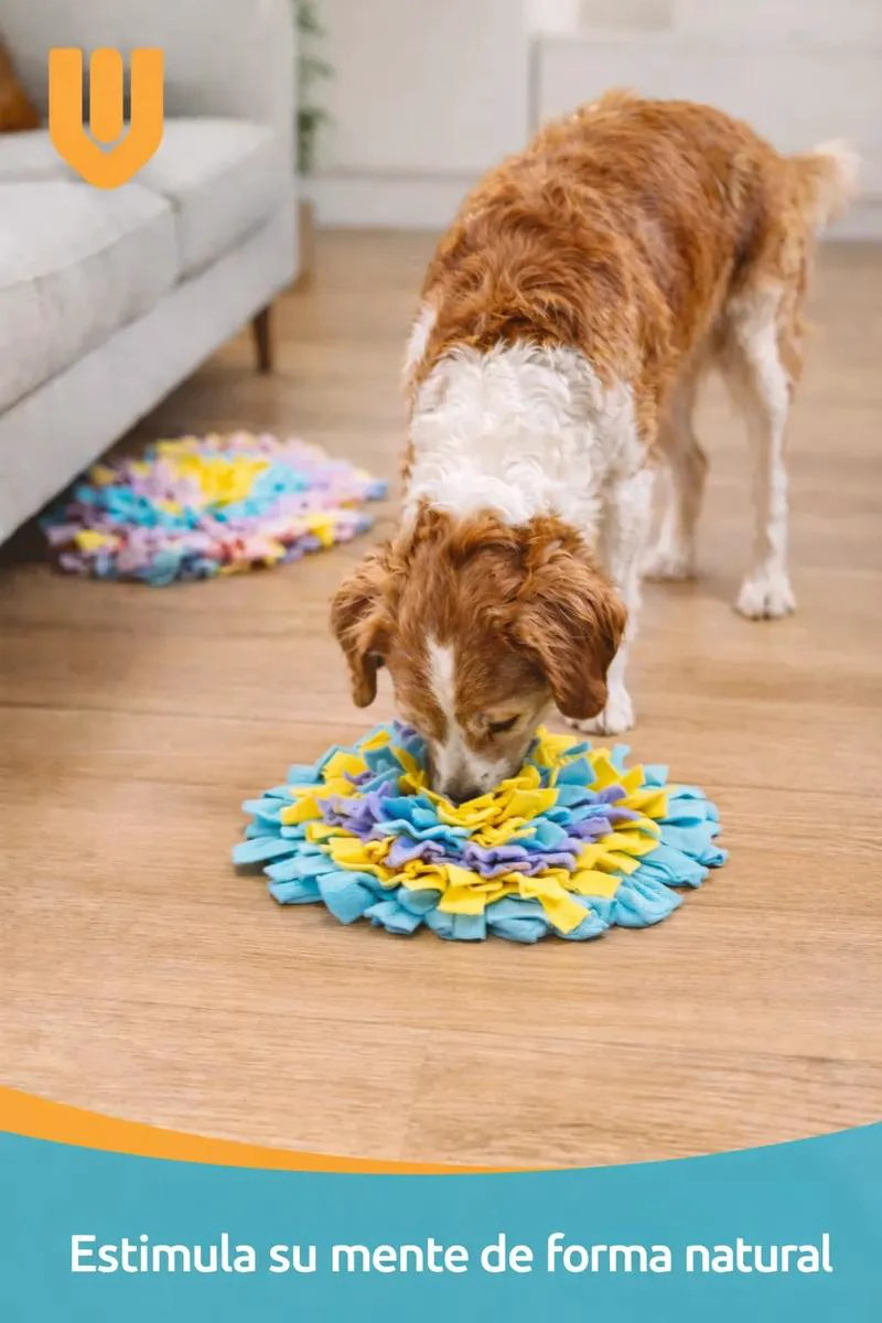 ALFOMBRA OLFATIVA PARA PERRO JUGUETE INTERACTIVO ESTIMULADOR MENTAL - 5