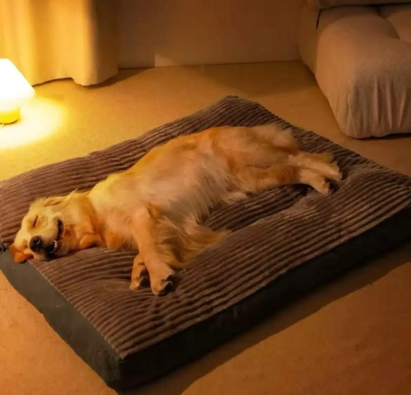 CAMA SOFA ORTOPE DICA XXL PARA PERROS GRANDES CON DISEÑO COMODO - 2