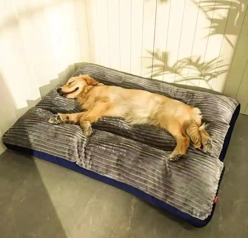 CAMA SOFA ORTOPE DICA XXL PARA PERROS GRANDES CON DISEÑO COMODO - 4
