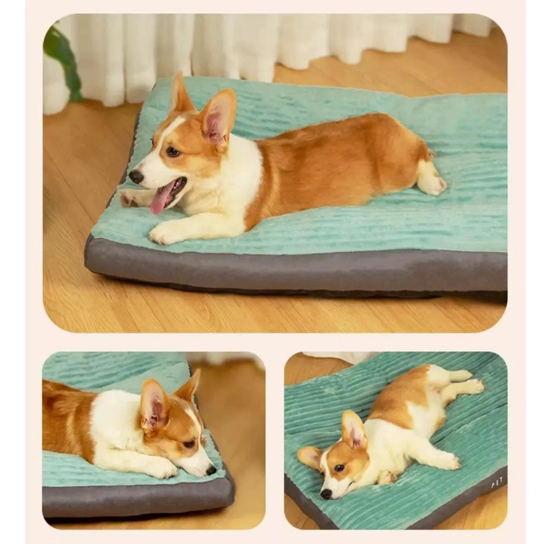 CAMA ORTOPE DICA EXTRA GRANDE PARA PERROS HASTA 100 LIBRAS - 5