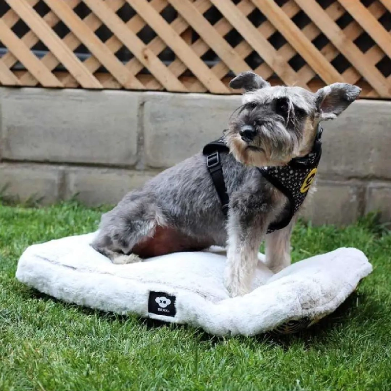 COLCHON ANTIESTRE S LAVABLE PARA PERROS Y GATOS TAMAÑO MEDIANO - 4