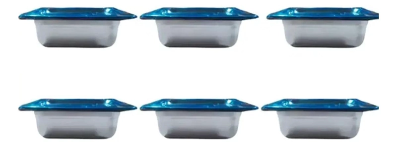 SET DE 6 RECIPIENTES GASTRONOMICOS CON TAPA 176X108X65 MM - 2
