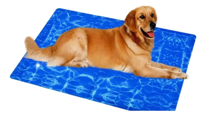 GENÉRICO CAMA REFRESCANTE CON GEL PARA PERROS 50X65 CM COLOR VERDE CON DISEÑO DE FRUTAS