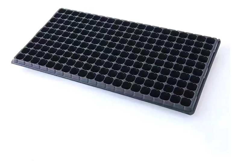 PACK DE 12 BANDEJAS RIGIDAS PARA ALMACIGOS CON 200 CAVIDADES CADA UNA - 1