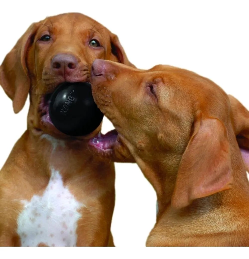 PELOTA RESISTENTE PARA PERRO TAMAÑO MEDIANO Y GRANDE 13 A 30 KG - 1