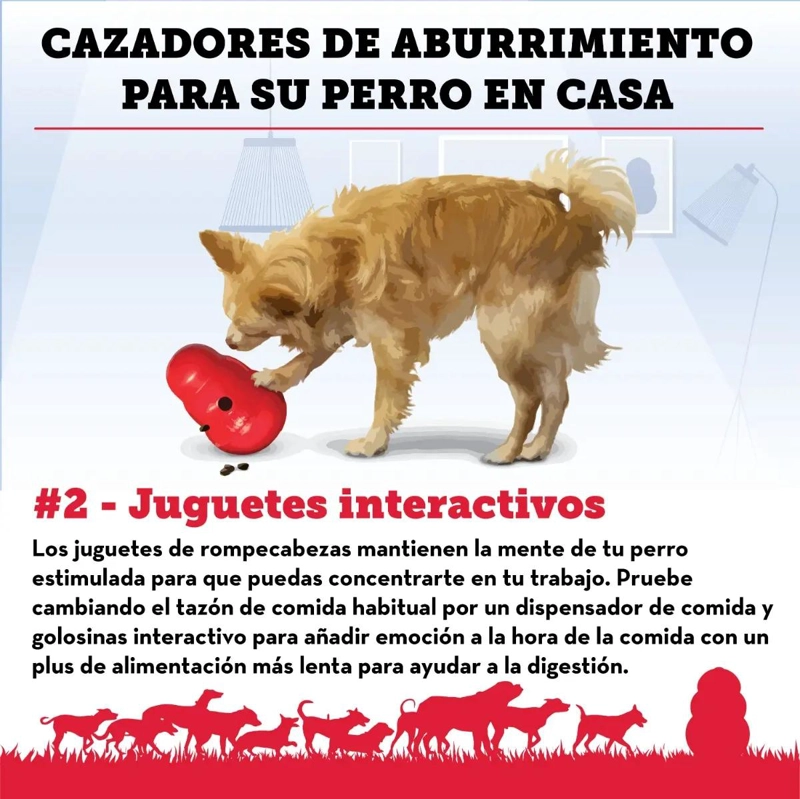 JUGUETE INTERACTIVO PARA PERROS TAMAÑO PEQUEÑO HASTA 12 KG - 1