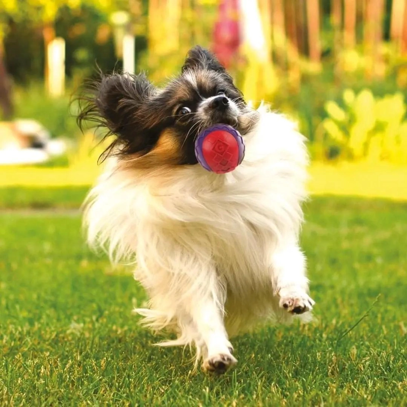 PELOTA PARA PERROS CON SONIDO SQUEAK PAQUETE DE 3 UNIDADES TALLA PEQUEÑA - 3