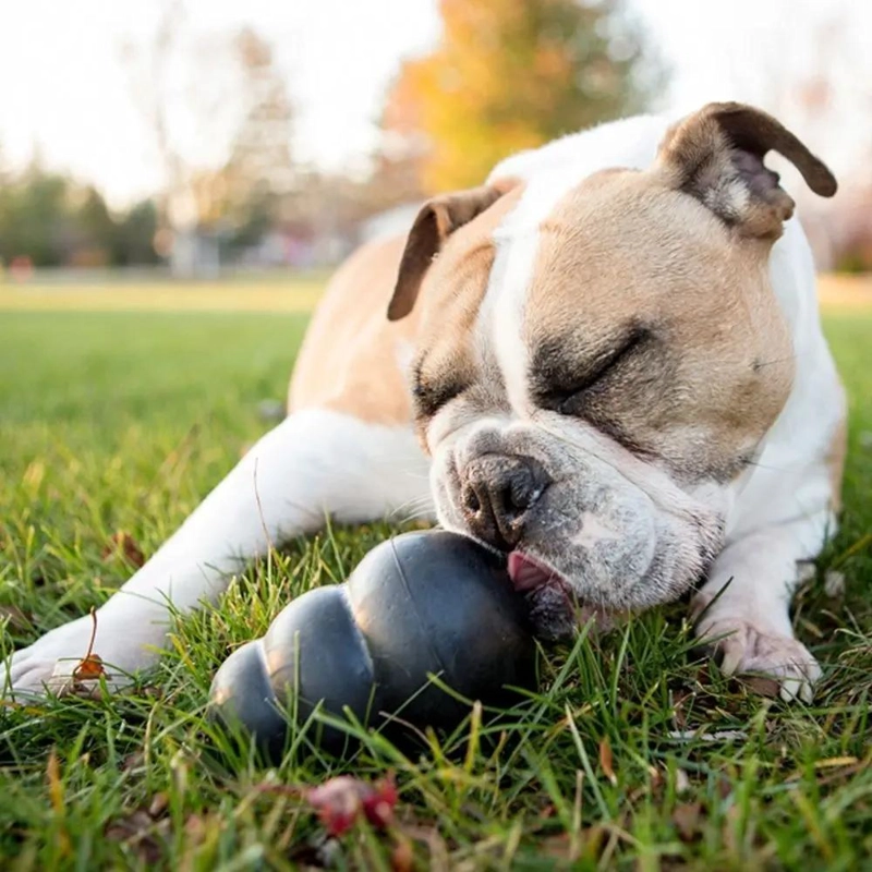 JUGUETE RESISTENTE PARA PERROS PEQUEÑOS HASTA 9 KG CON DISEÑO EXTREMO - 1