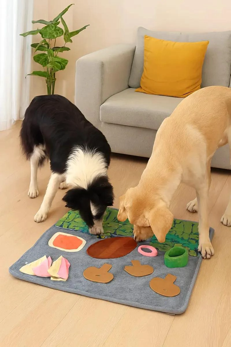 ALFOMBRA PARA MASCOTAS CON JUGUETES OLFATIVOS 40X40 CM - 2