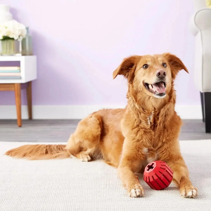 PELOTA RELLENABLE PARA PERROS TAMAÑO GRANDE CON ESPACIO PARA PREMIOS - 1