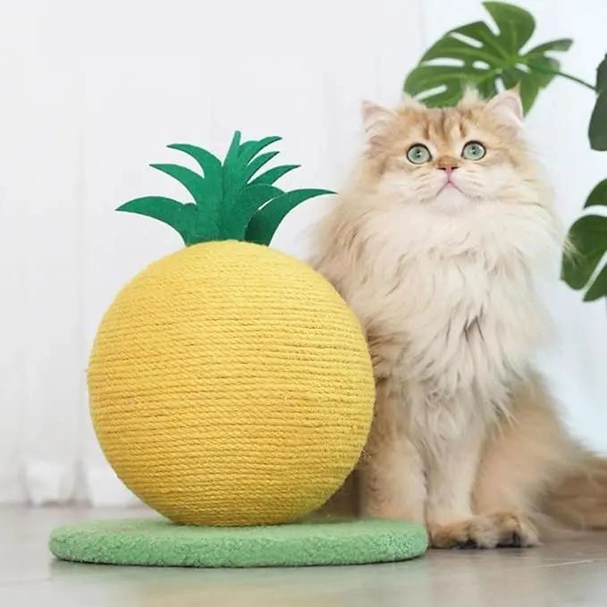 JUGUETE PARA GATOS BOLA RASCADOR CON CUERDA DE SISAL EN FORMA DE FRUTA - 3