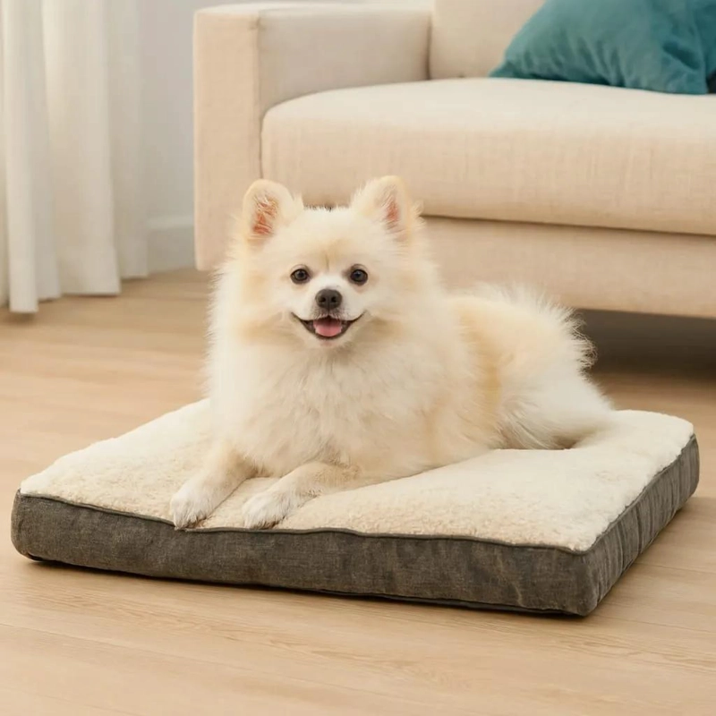 COLCHONETA PARA MASCOTAS 90X60X10 CM COMODA Y RESISTENTE - 2