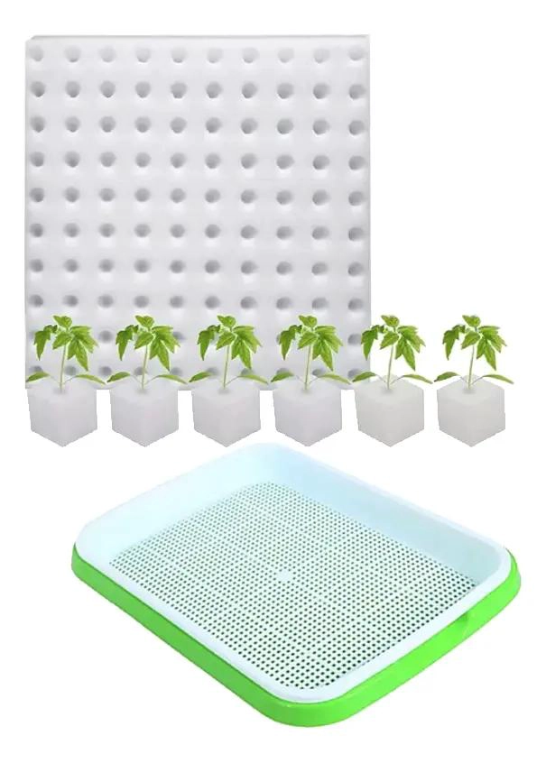 PACK BANDEJA GERMINADORA CON 100 ESPONJAS PARA CULTIVO EFICIENTE - 1