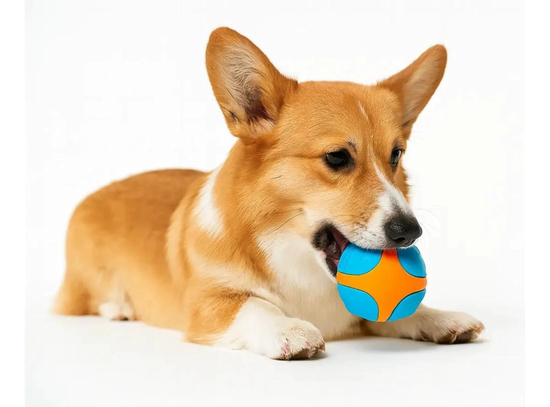 PACK DE 2 PELOTAS DENTALES EXTRA DURAS PARA PERROS RESISTENTES - 1