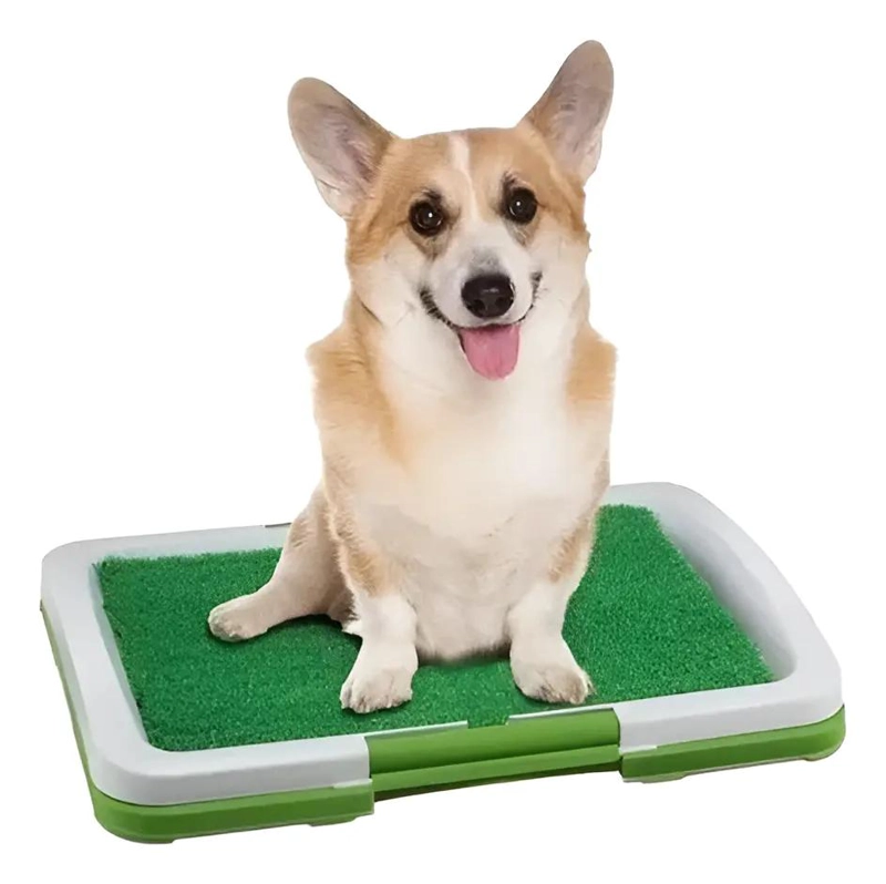 TAPETE PORTATIL ECOLOGICO PARA BAÑO DE MASCOTAS GRANDES - 2