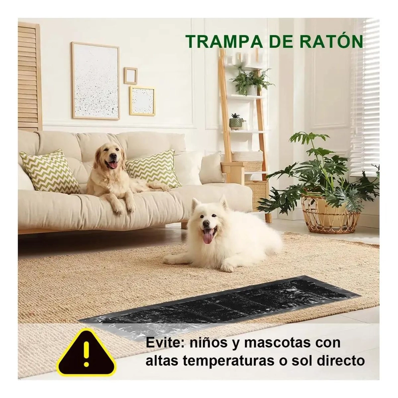 TRAMPA ADHESIVA PARA RATONES PAQUETE DE 20 UNIDADES CONTROL EFECTIVO - 5