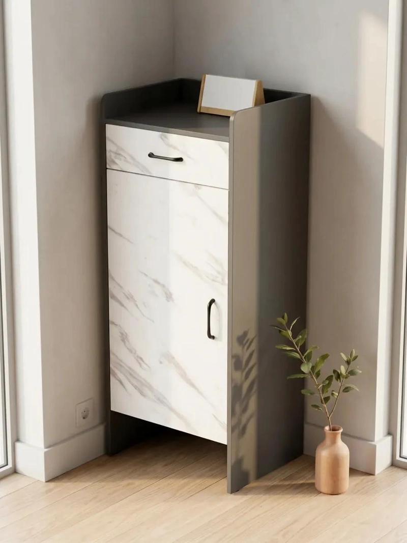 ZAPATERA ESTRECHA CON CAJON Y PUERTA PARA ORGANIZAR CALZADO 45X32X106 CM - 1