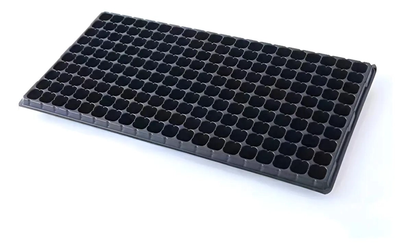 PACK DE 12 BANDEJAS RIGIDAS PARA ALMACIGOS CON 200 CAVIDADES CADA UNA - 3