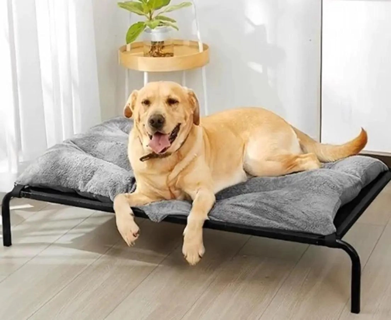 CAMA PLEGABLE ELEVADA PARA MASCOTAS GATOS Y PERROS CON ESTRUCTURA RESISTENTE - 3