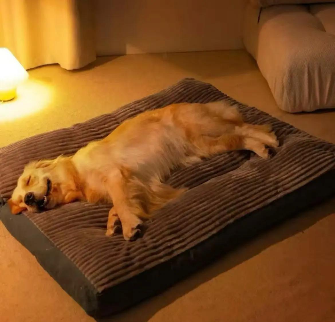 CAMA SOFA EXTRA GRANDE PARA PERROS GRANDES CON DISEÑO COMODO Y RESISTENTE - 2