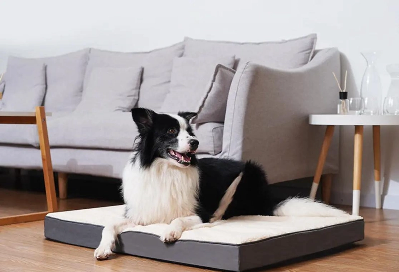 COLCHONETA PARA MASCOTAS CON ESPUMA VISCOELASTICA IMPERMEABLE Y FUNDA DESMONTABL - 3