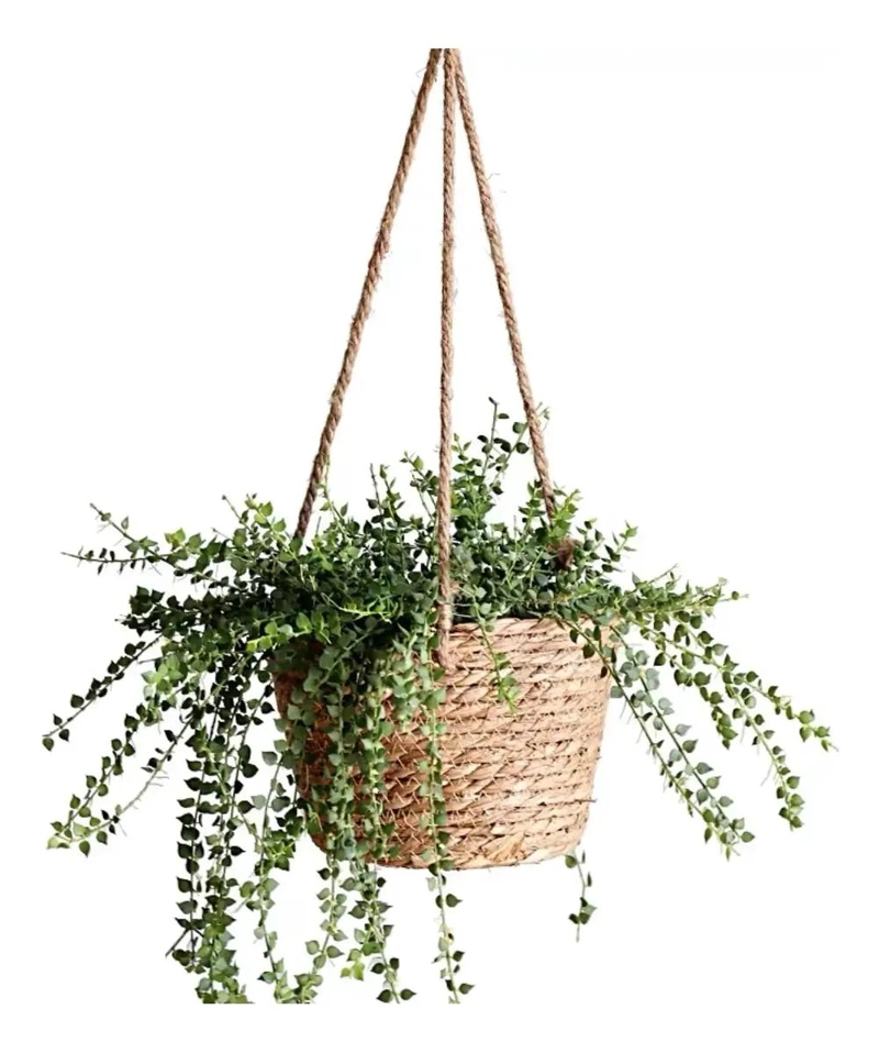 CANASTO TEJIDO EN FIBRA NATURAL PARA MACETERO DE PLANTAS DECORATIVAS - 1