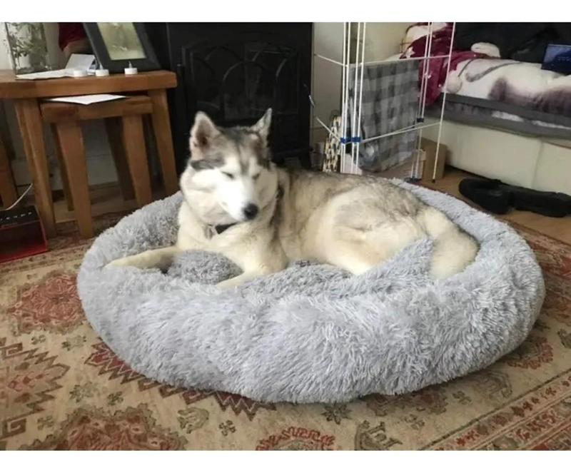 CAMA GRANDE PARA MASCOTAS XXL CON 110 CM DE LARGO PARA PERROS GRANDES - 2