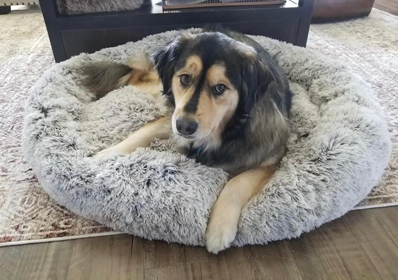 CAMA GRANDE PARA MASCOTAS XXL CON 110 CM DE LARGO PARA PERROS GRANDES - 5