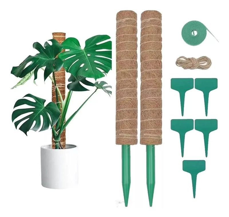 CONJUNTO DE 9 TUTORES DE MUSGO PARA PLANTAS DE 43 CM - 1