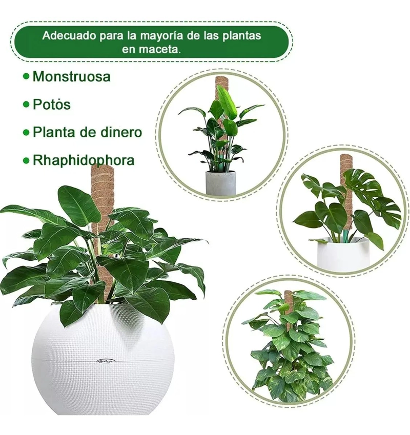 CONJUNTO DE 9 TUTORES DE MUSGO PARA PLANTAS DE 43 CM - 3