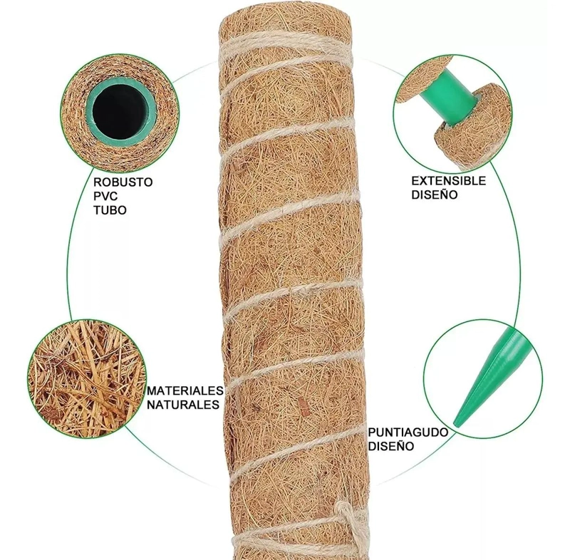 CONJUNTO DE 9 TUTORES DE MUSGO PARA PLANTAS DE 43 CM - 5