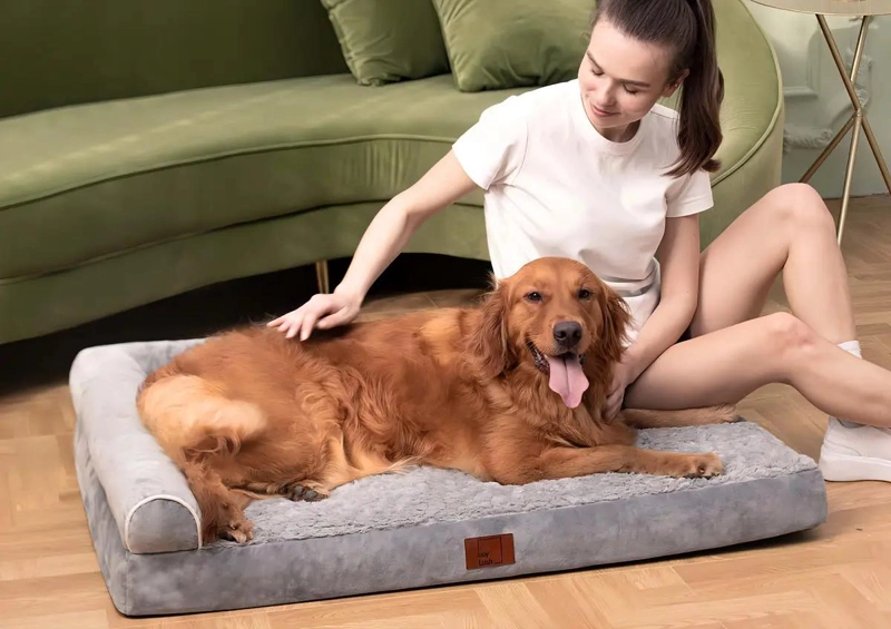 CAMA ORTOPE DICA PARA PERROS GRANDES CON FUNDA LAVABLE XL - 5