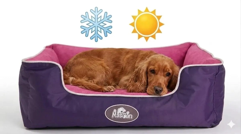 CAMA REVERSIBLE DOBLE COLOR PARA PERRO CON DISEÑO COMODO Y DURADERO - 4