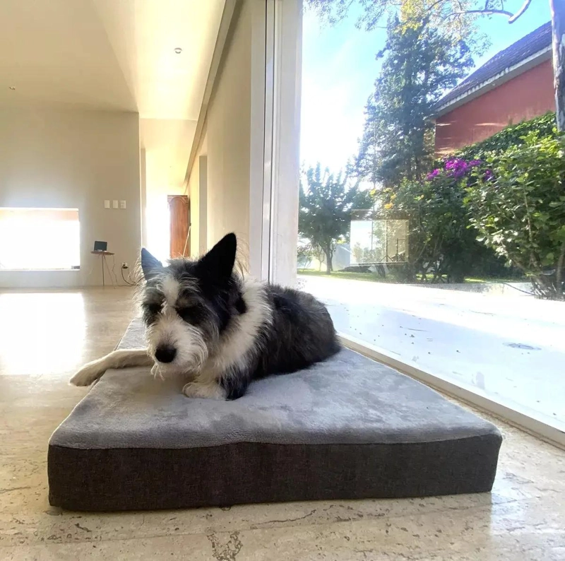 CAMA PARA MASCOTA GRANDE CON CONTROL DE TEMPERATURA PARA FRIO Y CALOR - 4