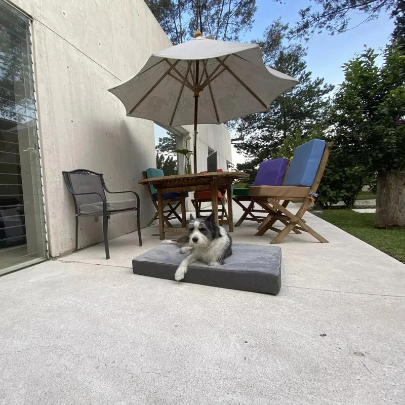 CAMA PARA MASCOTA GRANDE CON CONTROL DE TEMPERATURA PARA FRIO Y CALOR - 5