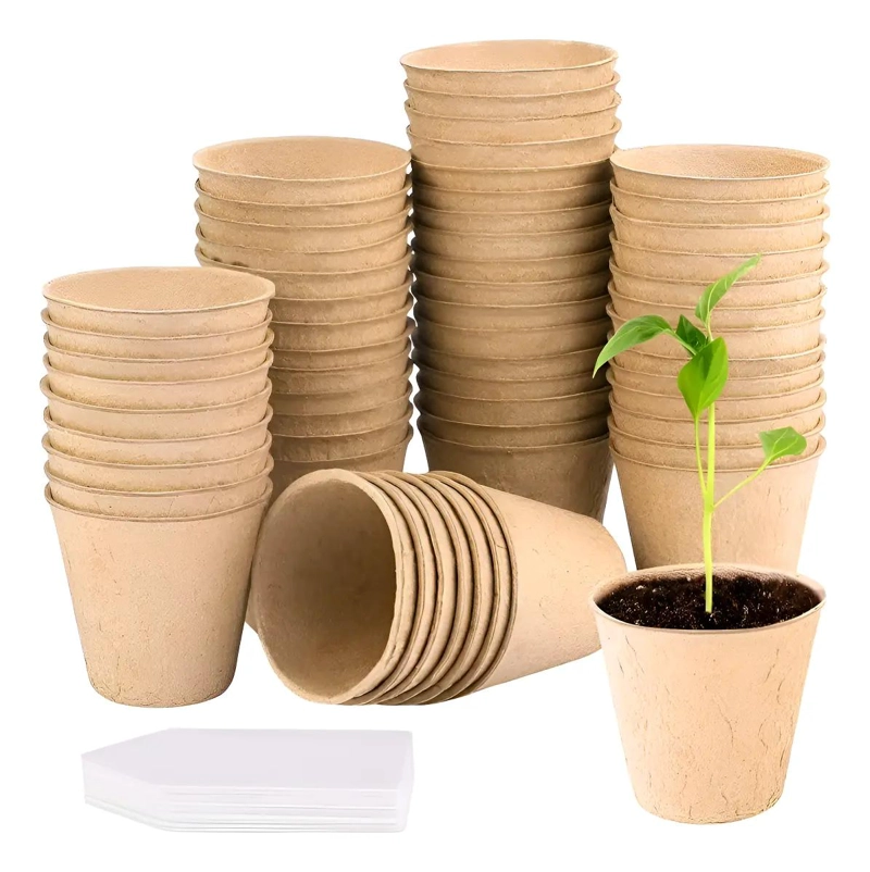 SET DE 50 MACETEROS BIODEGRADABLES DE 6X6 CM PARA CULTIVO CON ETIQUETAS - 1