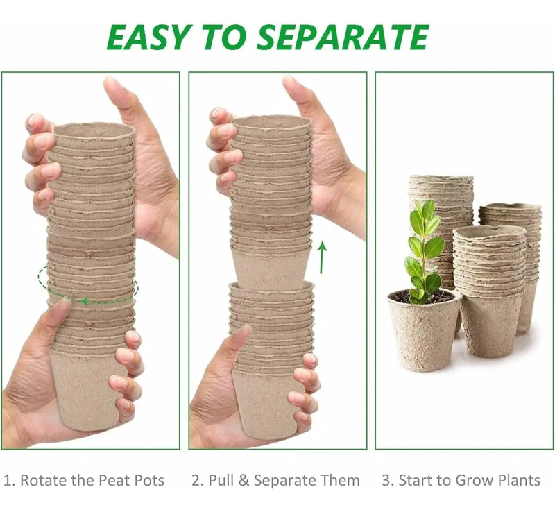 SET DE 50 MACETEROS BIODEGRADABLES DE 6X6 CM PARA CULTIVO CON ETIQUETAS - 2