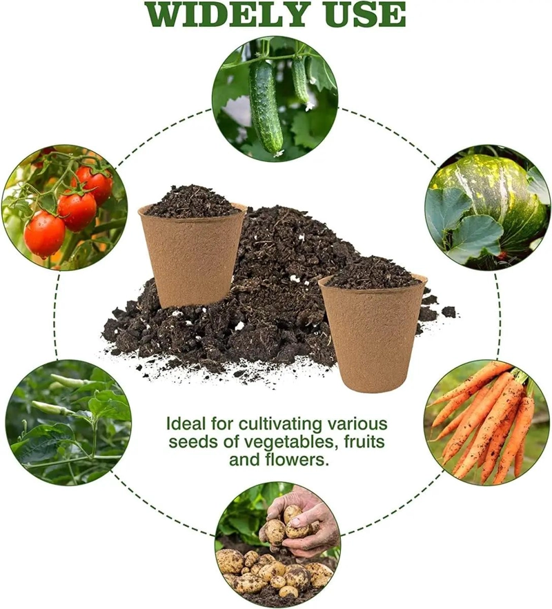 SET DE 50 MACETEROS BIODEGRADABLES DE 6X6 CM PARA CULTIVO CON ETIQUETAS - 3